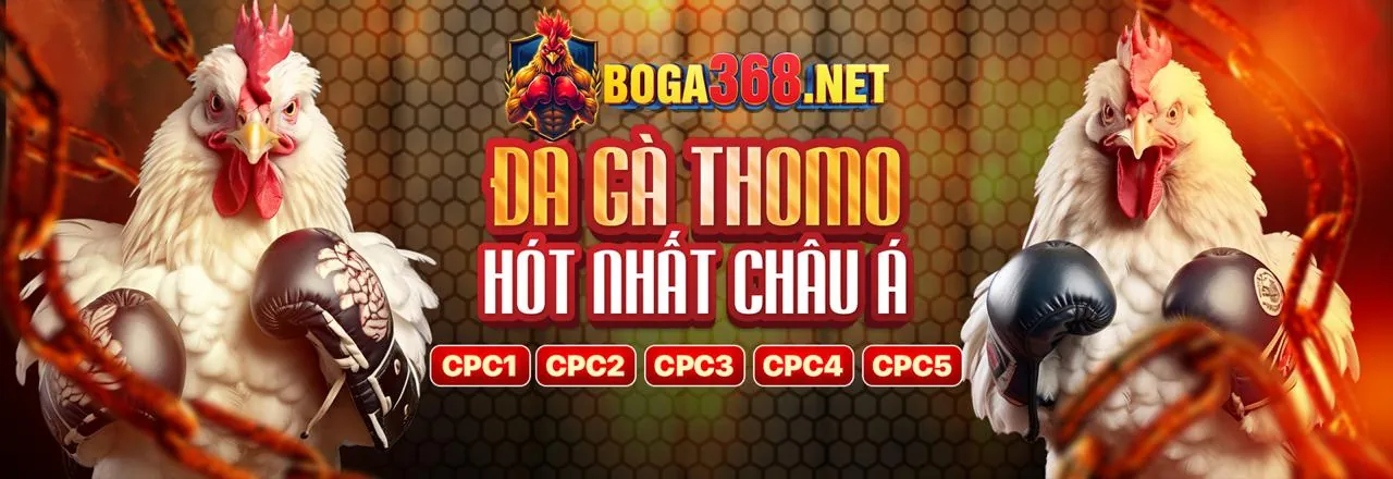 Sân vận động bóng đá với khán giả cuồng nhiệt và giao diện cá cược 97win97 nhà cái