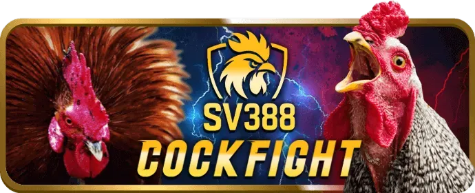 Thưởng chào mừng cho người chơi mới tại 97win97 nhà cái